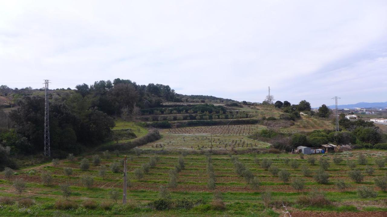 Agroturisme Cal Jeroni Avinyonet del Penedes Exteriör bild