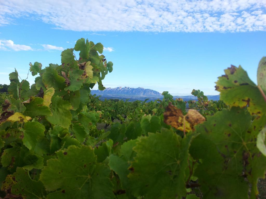 Agroturisme Cal Jeroni Avinyonet del Penedes Exteriör bild