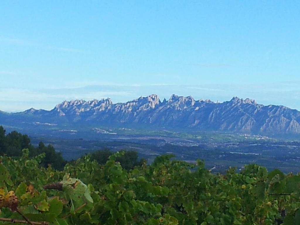 Agroturisme Cal Jeroni Avinyonet del Penedes Exteriör bild